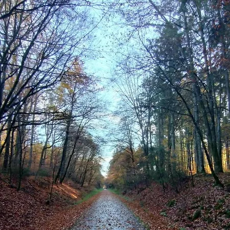 Romantic Eifel Hideaway, Cleaning Included Daire Immerath