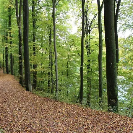Daire Romantic Eifel Hideaway, Cleaning Included *