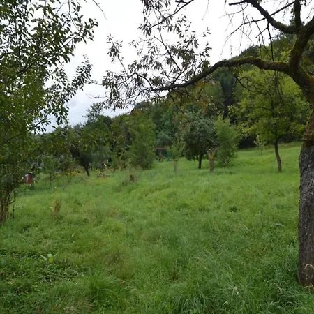 Romantic Eifel Hideaway, Cleaning Included * Immerath