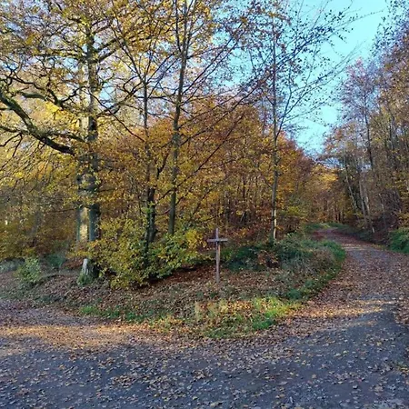 Romantic Eifel Hideaway, Cleaning Included Daire Immerath